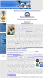 Mobile Screenshot of buyerschoiceinspections.com